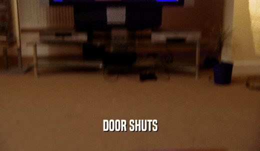 DOOR SHUTS  
