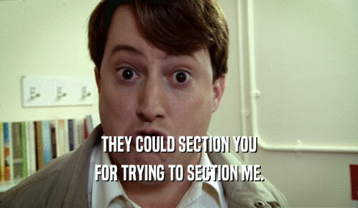 THEY COULD SECTION YOU FOR TRYING TO SECTION ME. 