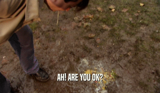 AH! ARE YOU OK?  