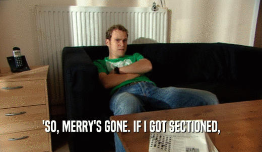 'SO, MERRY'S GONE. IF I GOT SECTIONED,  