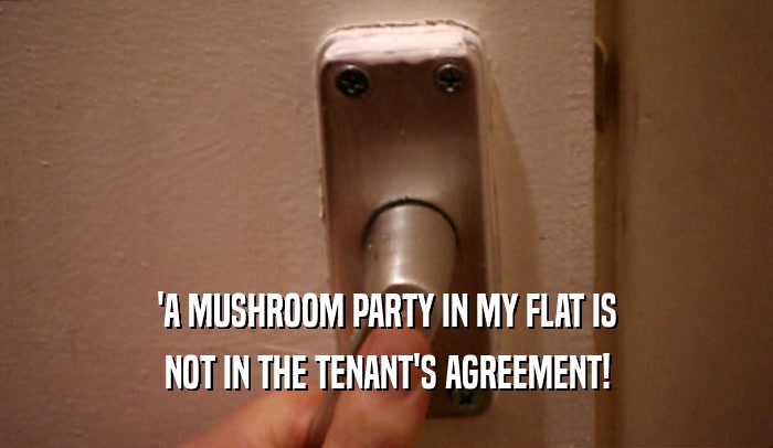 'A MUSHROOM PARTY IN MY FLAT IS NOT IN THE TENANT'S AGREEMENT! 