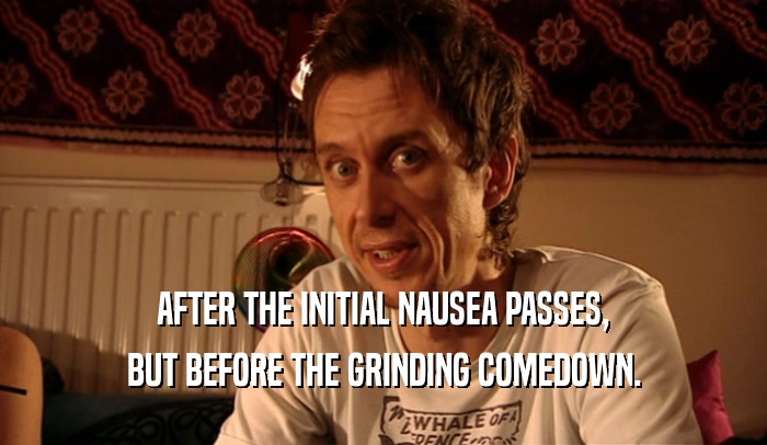 AFTER THE INITIAL NAUSEA PASSES, BUT BEFORE THE GRINDING COMEDOWN. 