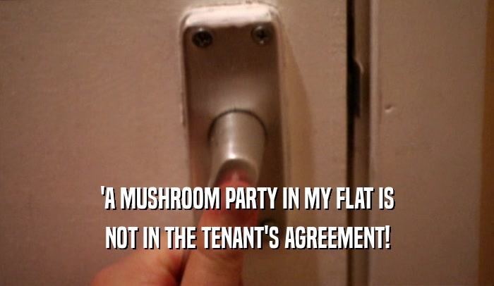 'A MUSHROOM PARTY IN MY FLAT IS
 NOT IN THE TENANT'S AGREEMENT!
 