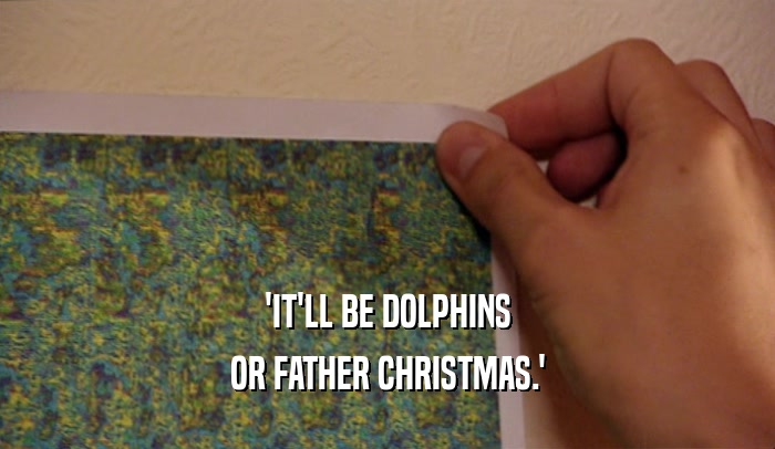 'IT'LL BE DOLPHINS OR FATHER CHRISTMAS.' 