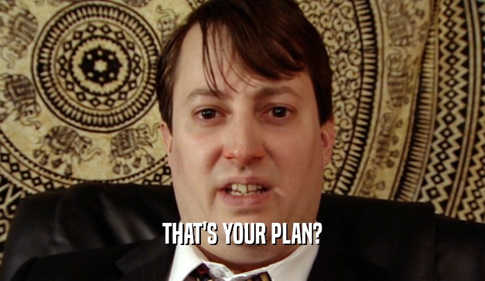 THAT'S YOUR PLAN?  