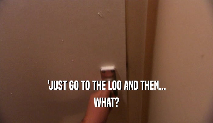 'JUST GO TO THE LOO AND THEN... WHAT? 
