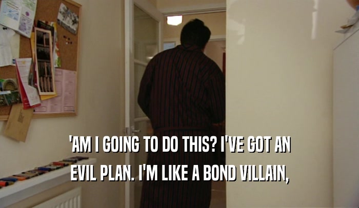 'AM I GOING TO DO THIS? I'VE GOT AN EVIL PLAN. I'M LIKE A BOND VILLAIN, 