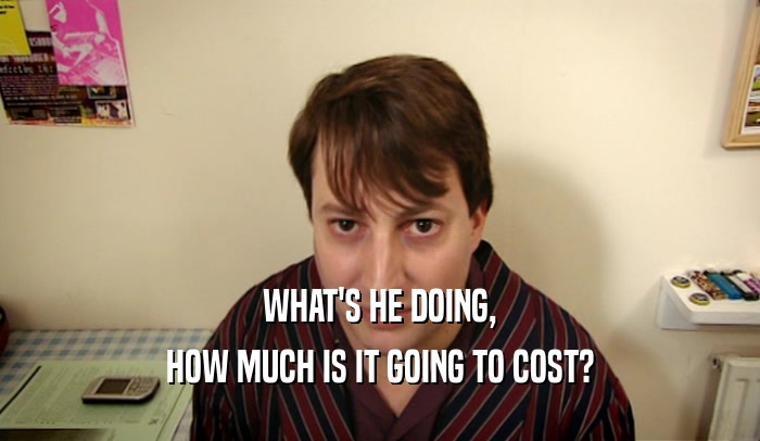 WHAT'S HE DOING, HOW MUCH IS IT GOING TO COST? 