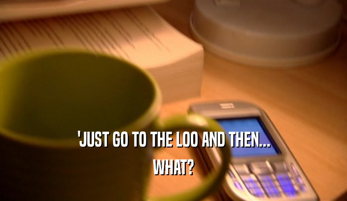 'JUST GO TO THE LOO AND THEN... WHAT? 