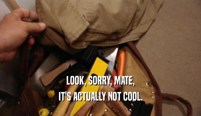 LOOK, SORRY, MATE, IT'S ACTUALLY NOT COOL. 
