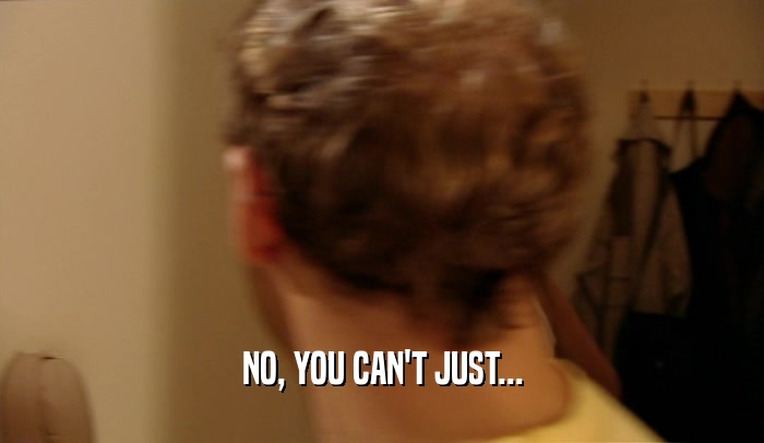 NO, YOU CAN'T JUST...  