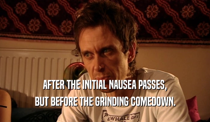 AFTER THE INITIAL NAUSEA PASSES, BUT BEFORE THE GRINDING COMEDOWN. 