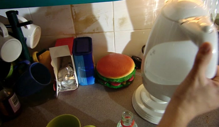 'I'M SORT OF POISONING MY FLATMATE. IS THAT OK? DOESN'T SOUND GREAT. 