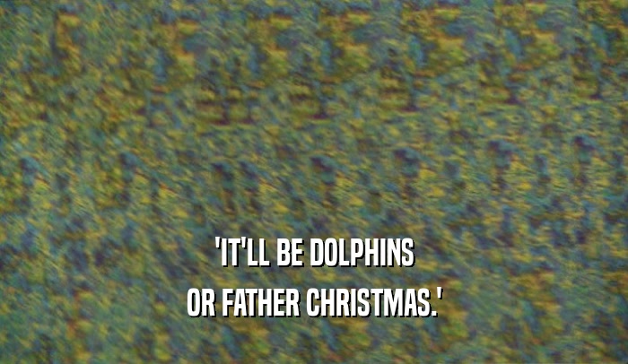 'IT'LL BE DOLPHINS OR FATHER CHRISTMAS.' 