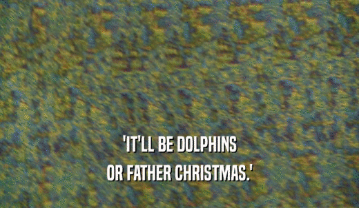 'IT'LL BE DOLPHINS OR FATHER CHRISTMAS.' 