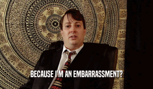 BECAUSE I'M AN EMBARRASSMENT?  