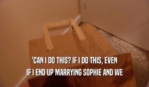 'CAN I DO THIS? IF I DO THIS, EVEN IF I END UP MARRYING SOPHIE AND WE 