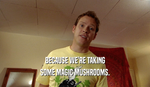 BECAUSE WE'RE TAKING SOME MAGIC MUSHROOMS. 