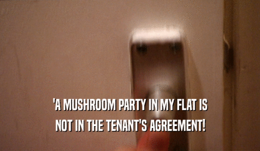 'A MUSHROOM PARTY IN MY FLAT IS NOT IN THE TENANT'S AGREEMENT! 