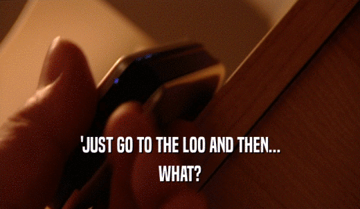 'JUST GO TO THE LOO AND THEN... WHAT? 