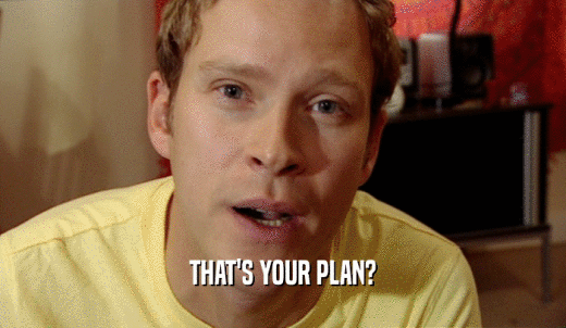 THAT'S YOUR PLAN?  