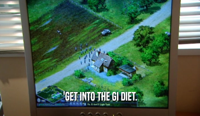 'GET INTO THE GI DIET.  