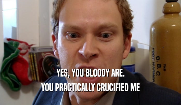 YES, YOU BLOODY ARE.
 YOU PRACTICALLY CRUCIFIED ME
 