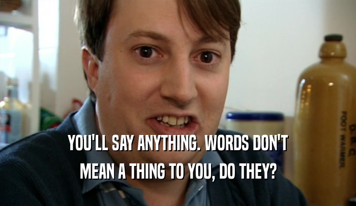 YOU'LL SAY ANYTHING. WORDS DON'T MEAN A THING TO YOU, DO THEY? 