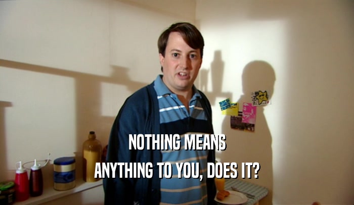NOTHING MEANS ANYTHING TO YOU, DOES IT? 