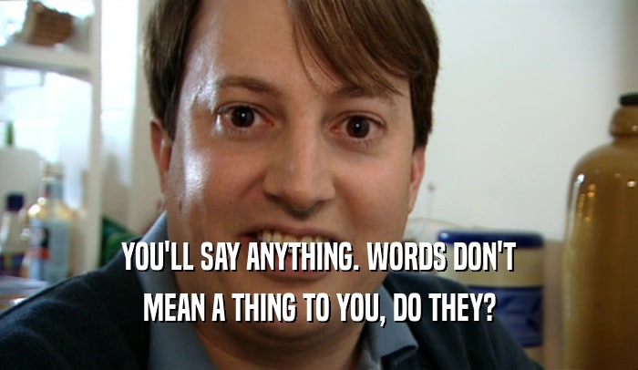 YOU'LL SAY ANYTHING. WORDS DON'T MEAN A THING TO YOU, DO THEY? 