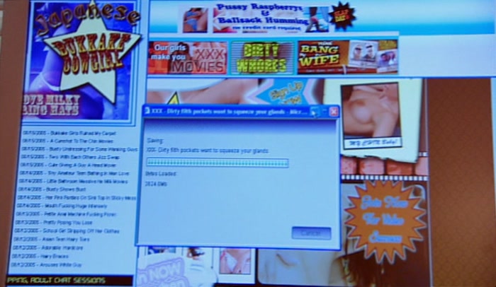 'LOOKING AT PORN IS JUST LIKE LYING TO PARLIAMENT. 