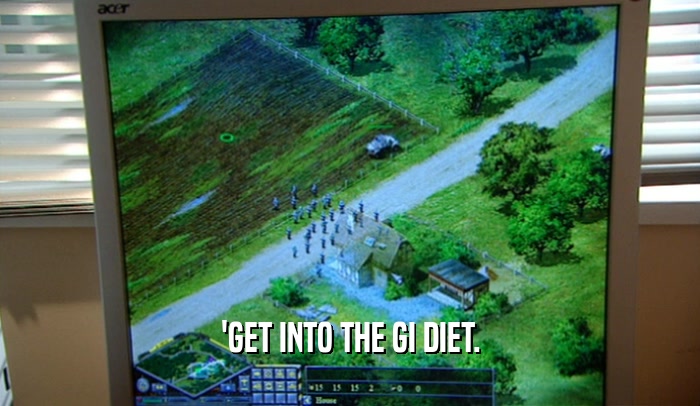 'GET INTO THE GI DIET.  