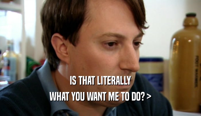 IS THAT LITERALLY WHAT YOU WANT ME TO DO? > 