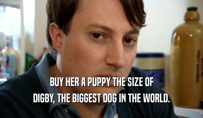 BUY HER A PUPPY THE SIZE OF DIGBY, THE BIGGEST DOG IN THE WORLD. 