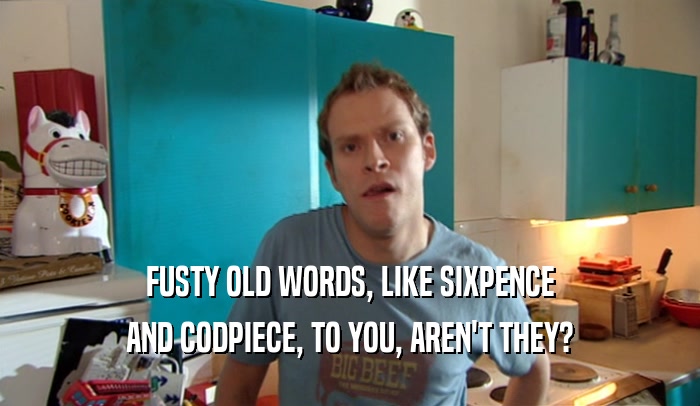 FUSTY OLD WORDS, LIKE SIXPENCE AND CODPIECE, TO YOU, AREN'T THEY? 