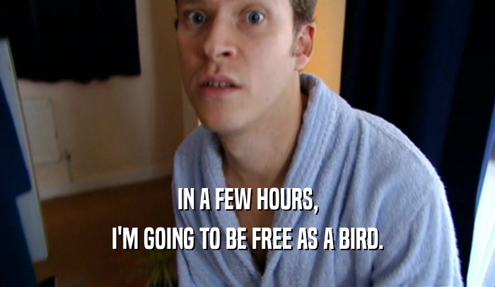 IN A FEW HOURS,
 I'M GOING TO BE FREE AS A BIRD.
 