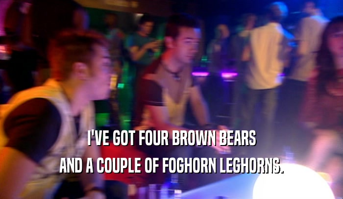 I'VE GOT FOUR BROWN BEARS AND A COUPLE OF FOGHORN LEGHORNS. 