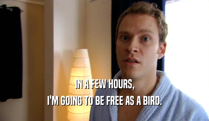 IN A FEW HOURS,
 I'M GOING TO BE FREE AS A BIRD.
 