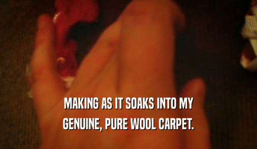 MAKING AS IT SOAKS INTO MY GENUINE, PURE WOOL CARPET. 