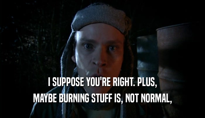 I SUPPOSE YOU'RE RIGHT. PLUS, MAYBE BURNING STUFF IS, NOT NORMAL, 