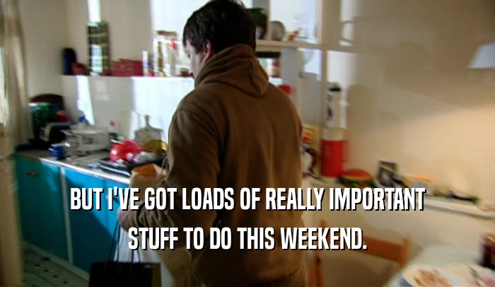 BUT I'VE GOT LOADS OF REALLY IMPORTANT STUFF TO DO THIS WEEKEND. 