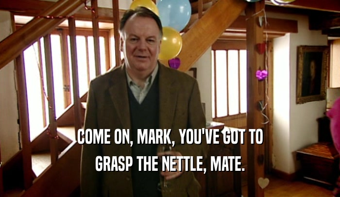 COME ON, MARK, YOU'VE GOT TO GRASP THE NETTLE, MATE. 