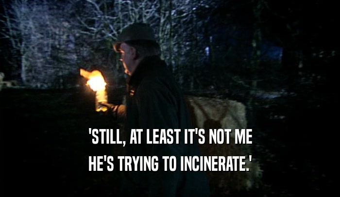 'STILL, AT LEAST IT'S NOT ME HE'S TRYING TO INCINERATE.' 