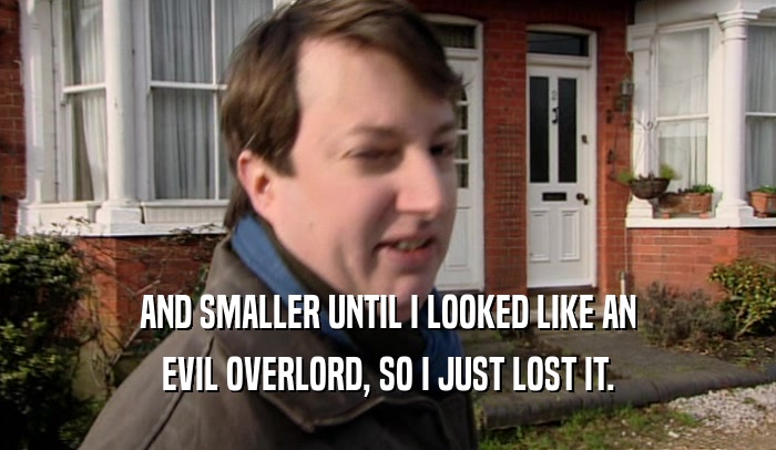AND SMALLER UNTIL I LOOKED LIKE AN EVIL OVERLORD, SO I JUST LOST IT. 