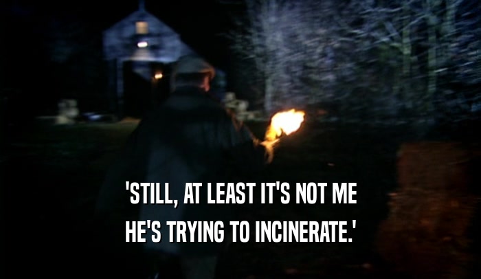 'STILL, AT LEAST IT'S NOT ME HE'S TRYING TO INCINERATE.' 