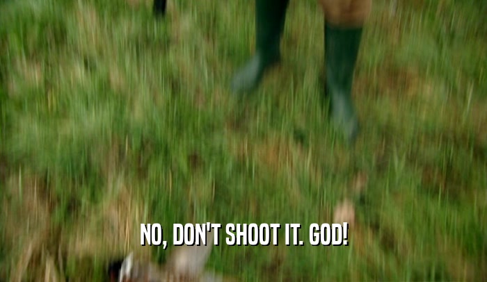 NO, DON'T SHOOT IT. GOD!  