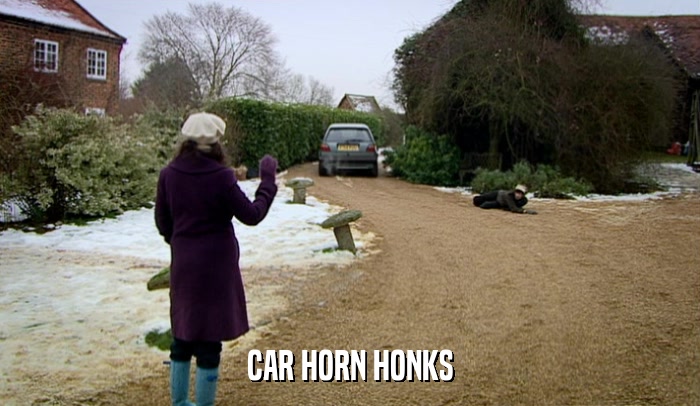 CAR HORN HONKS  