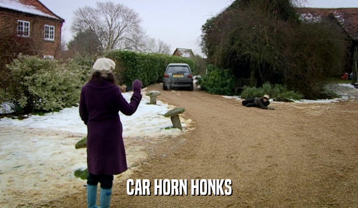 CAR HORN HONKS  