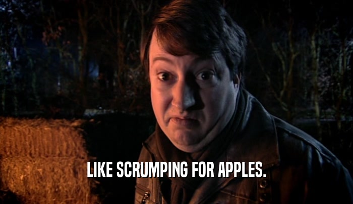 LIKE SCRUMPING FOR APPLES.  