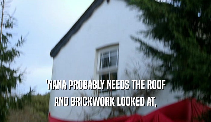 'NANA PROBABLY NEEDS THE ROOF AND BRICKWORK LOOKED AT, 